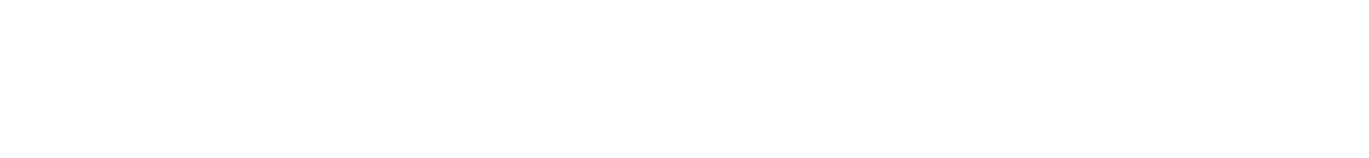 Logo-Website-Neu