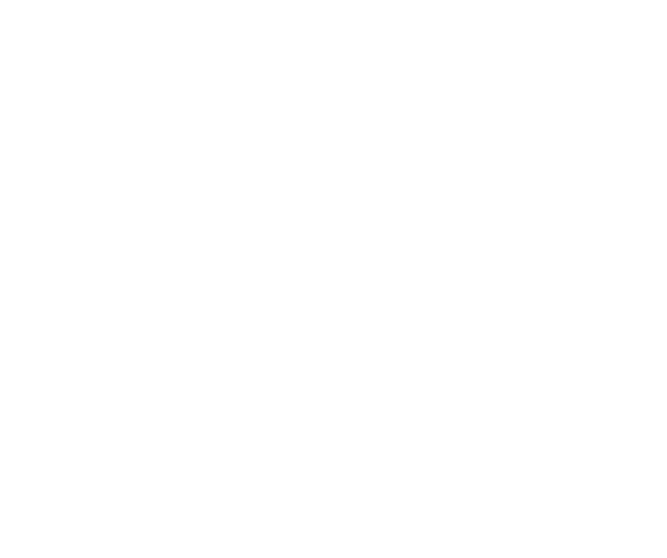 Logo-Website-Neu2